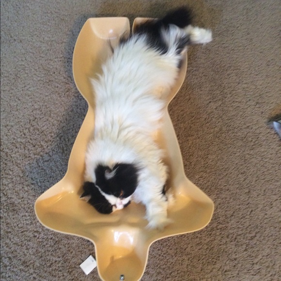 Meet your Posher, Wendy - Picture 6 of 8